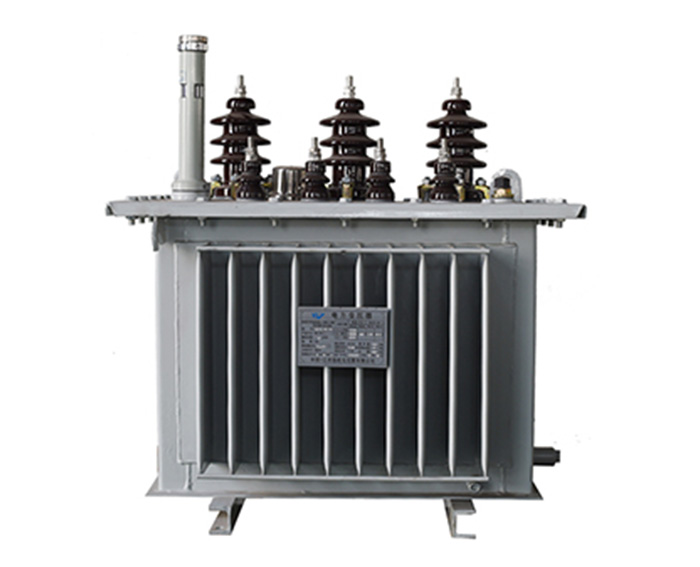 Oil immersed electric power medium voltage transformer Out Door 100 kva 10kV / 0.4kV